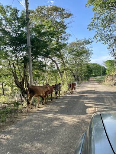 Driving conditions in Costa Rica roads